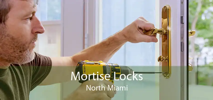 Mortise Locks North Miami
